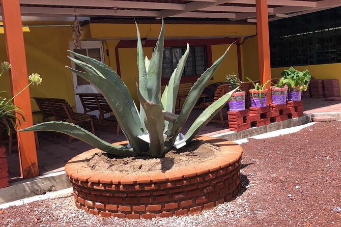 Teotihuacan & Basilica of Guadalupe - Private Tour - Price: What $140 Per Person Really Buys You