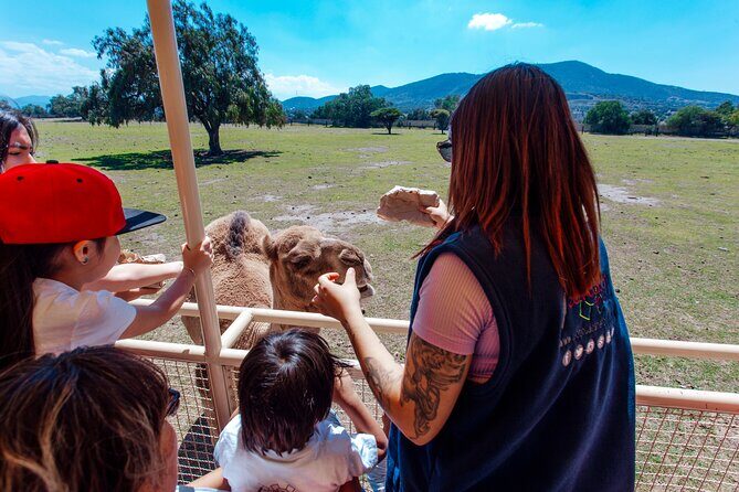Teotihuacán for kids - Guides and Group Size: Why This Can Feel Smooth With Kids
