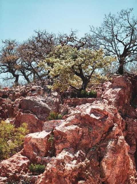 Tequisquiapan: UTV Tour to Opal Mine with Art Workshop - FAQ