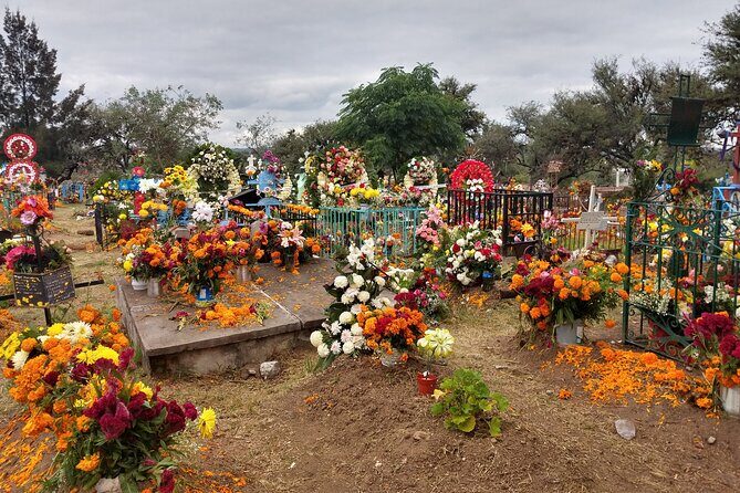 The authentic tour of the day of the dead in San Miguel d Allende - Price, Time, and Group Size: What the $34 Ticket Really Buys