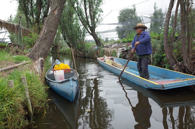 The City Green Exploring the Urban Eco Reserve of Xochimilco - Why this Xochimilco day feels different from typical canal cruises
