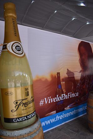 The Magical Town of Tepotzotlán & Artisanal wine from Mexico City - Pickup, Meeting Point, and Timing: Your Day Plan in Plain Terms