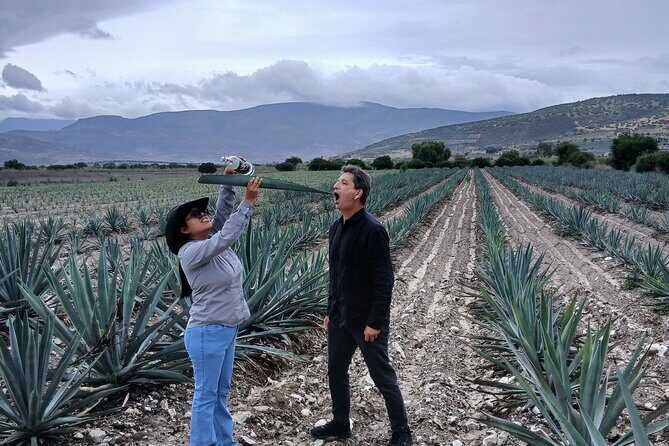 The Mezcal Tour - A short, efficient mezcal plan for your Oaxaca day