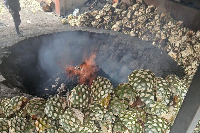 The Mezcal Tour - How the itinerary timing actually feels in real life