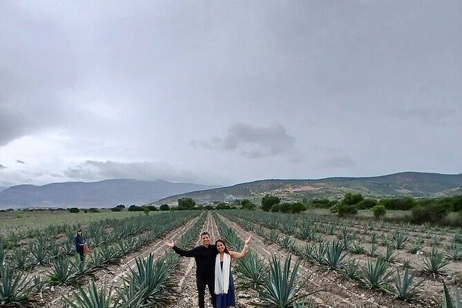 The Mezcal Tour - Your best moves during the distillery + tasting portion