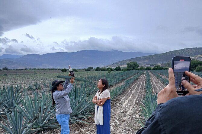 The Mezcal Tour - Who this tour fits best