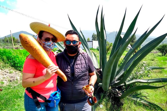 Tour de Pulque en Tepotzotlán, Pueblo Mágico - Key Things I’d Prioritize on This Tour