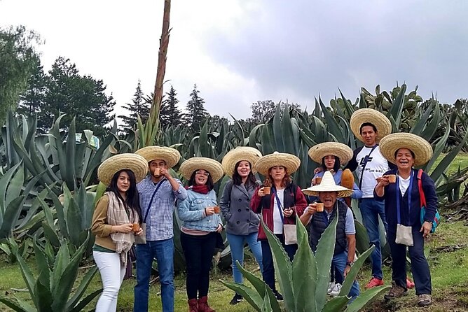 Tour de Pulque en Tepotzotlán, Pueblo Mágico - The Guide Makes the Difference: Small Group, Big Context