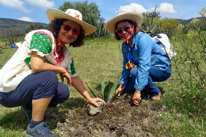 Tour de Pulque en Tepotzotlán, Pueblo Mágico - Price and Value: What $134.25 Covers (and Why It Adds Up)