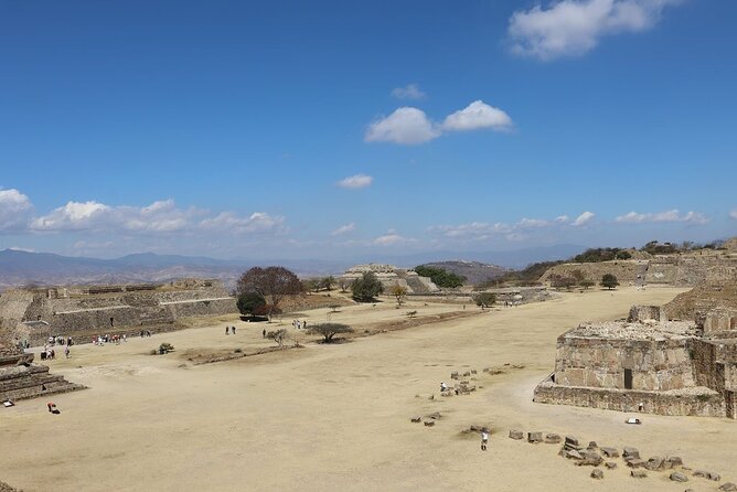 Tour Monte Albán "clasico" - The day starts in Oaxaca City: meeting point, timing, and group size