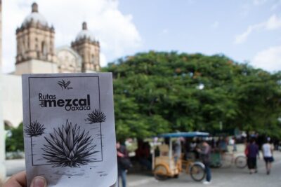 Tour of Mezcalerias in the City - Mezcalería COZOBI – Experiencia Sensorial: where the tasting gets methodical