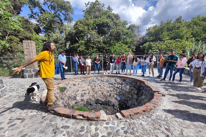 Tour of Puebla and tour of Atlixco (private tour) - Zócalo de Atlixco: gardens, murals, and a classic town reset