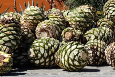 Tour of Puebla and tour of Atlixco (private tour) - Getting picked up in Puebla or Cholula (and why timing matters)