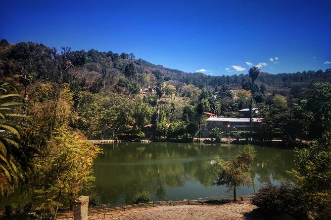 Tour of the Sierra Juárez, Ixtlán, Guelatao and Capulálpam - Food, water, and small comfort moves that keep the day smooth
