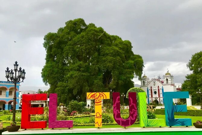 Tour to artisan towns of Oaxaca - Teotitlán del Valle: wool rugs, natural dyes, and real material work