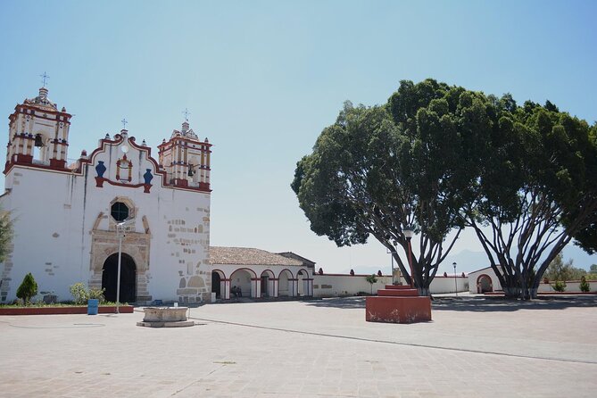 Tour to artisan towns of Oaxaca - El Árbol del Tule: an ancient giant that changes your scale