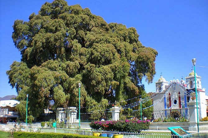 Tour to artisan towns of Oaxaca - Timing, pickup, and how the 9-hour pace feels