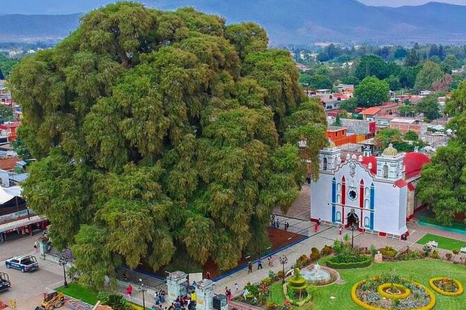 Tour to artisan towns of Oaxaca - What kind of traveler will love this most