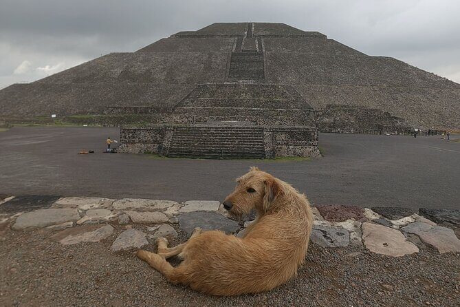 Tour to Teotihuacan from CDMX with entrances included - Starting strong at Panadería Rosetta and Palacio de Quetzalpapálotl