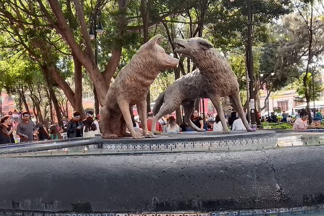 Tour to Xochimilco and Coyoacan and Frida Khalo - Chinampas and pulque: the stop that makes the day feel worth it