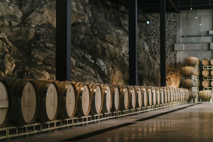 Tour & Wine Tasting San Miguel Vineyard / San Miguel Experience - Underground cellar: where barrel aging happens