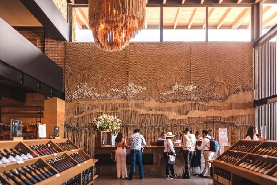Tour & Wine Tasting San Miguel Vineyard / San Miguel Experience - Panoramic tasting room: the Chef David Quevedo pairing