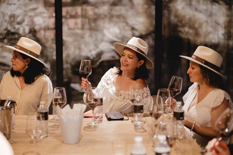 Tour & Wine Tasting San Miguel Vineyard / San Miguel Experience - Timing and getting there: meet-up near town, then head to the hills