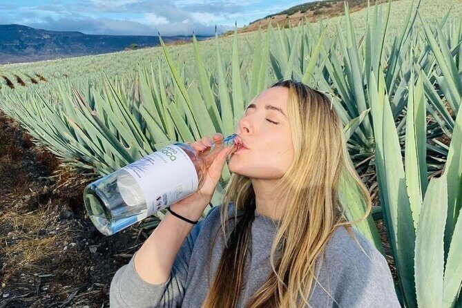 Tradicional Mezcal Experience in Oaxaca-Visit a Family Distillery - From Oaxaca City to Mezcal Country: why this day trip works
