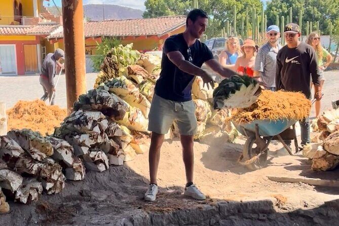 Tradicional Mezcal Experience in Oaxaca-Visit a Family Distillery - Inside the family palenque: roasting, fermentation, and the steps that shape flavor