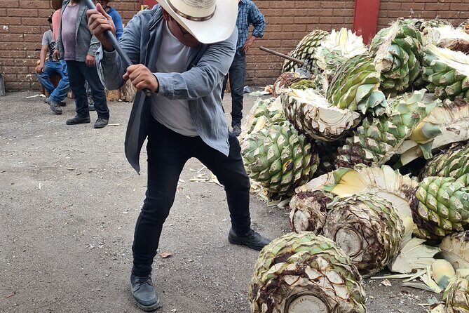Tradicional Mezcal Experience in Oaxaca-Visit a Family Distillery - Bottles to take home: shopping time that doesn’t feel pushy