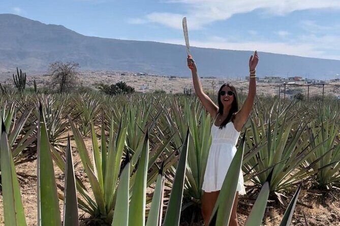 Tradicional Mezcal Experience in Oaxaca-Visit a Family Distillery - Walking San Pablo Villa de Mitla’s agave fields: more than photos