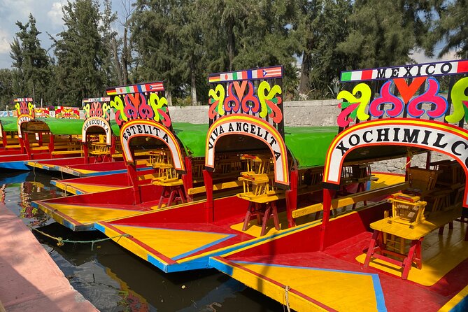 Trajinera Party at Xochimilco with Drinks, Mariachi & Snacks - Group size and adult party energy: who this tour suits