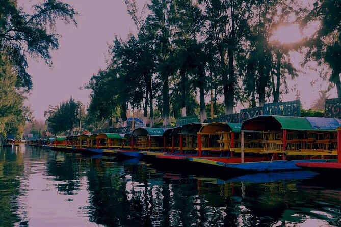 Trajinera Party at Xochimilco with Drinks, Mariachi & Snacks - Value check: is $47 worth it for your kind of night?