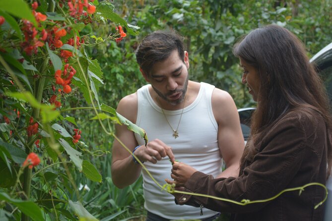 Urban Orchard in Desierto de los Leones in Mexico City - Key Takeaways Before You Go