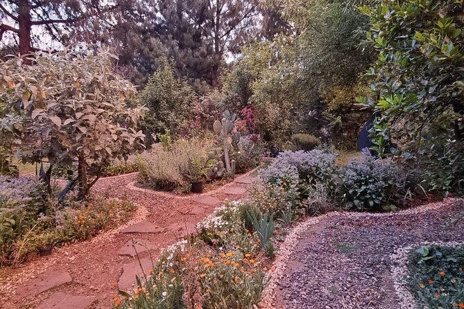 Urban Orchard in Desierto de los Leones in Mexico City - Getting There: Avenida Chapultepec to a Quieter World