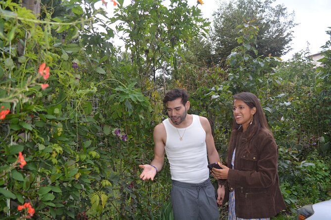 Urban Orchard in Desierto de los Leones in Mexico City - Foraging Time: Turning Fresh Plants into a Simple Meal Idea