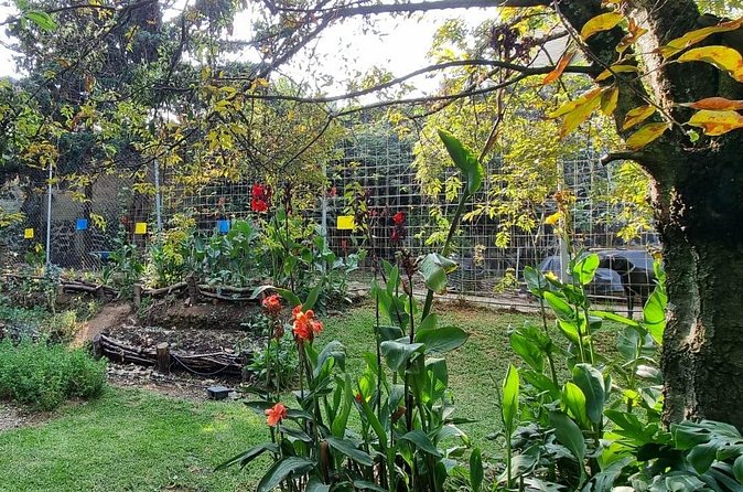 Urban Orchard in Desierto de los Leones in Mexico City - What’s Included, and What That Means for Value