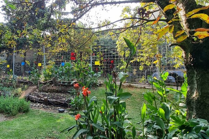Urban Orchard in Desierto de los Leones in Mexico City - Timing and Practical Tips That Help You Enjoy It