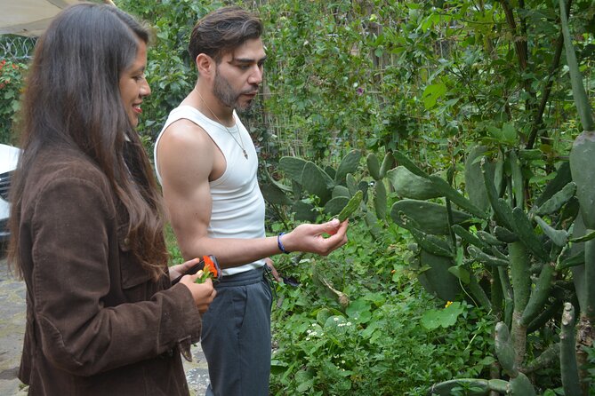 Urban Orchard in Desierto de los Leones in Mexico City - Meet Rubén and David: The Real Teaching Happens in the Garden