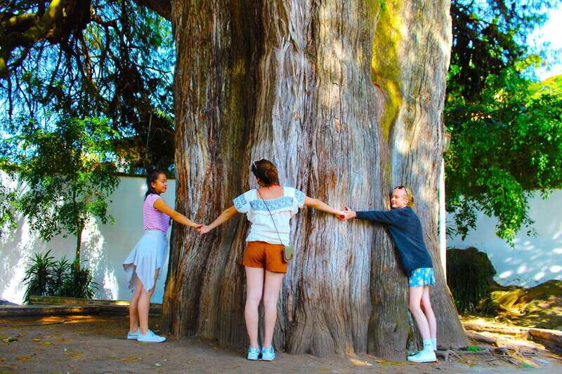 Valle de Bravo: Half-Day Guided City Tour by Van - La Peña viewpoint: the short walk that makes the whole day