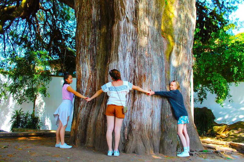 Valle de Bravo: Half-Day Guided City Tour by Van - Downtown Valle de Bravo: Cristo Negro, the Ahuehuete tree, and the waterfront feel