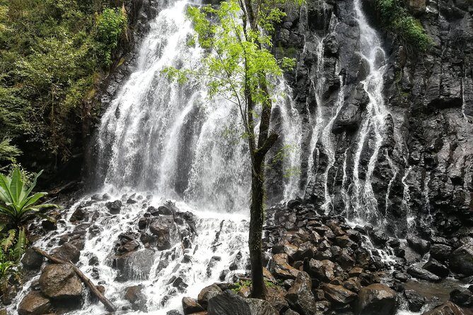Valle de Bravo: Private & Small group tour from Mexico City - Lunch by the lake: what to expect and how to plan your energy