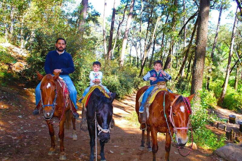 Valle de Bravo: Waterfall Riding Tour - What the forest ride feels like (and why it’s fun)