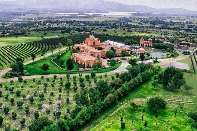 Vineyard, tour, tasting and fun in San Miguel de Allende - From Fabrica la Aurora to the Vineyards: Logistics That Matter