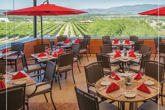 Vineyard, tour, tasting and fun in San Miguel de Allende - Grapes to Production: What You See in the Winery Area