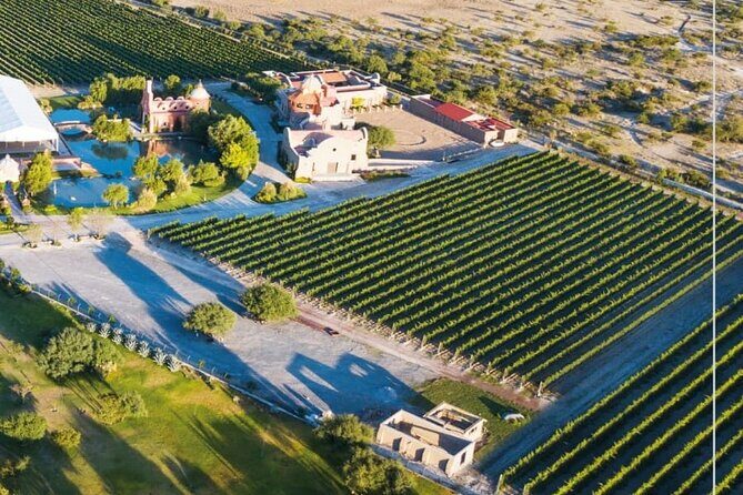 Vineyard, tour, tasting and fun in San Miguel de Allende - Should You Book This Vineyard Tour?