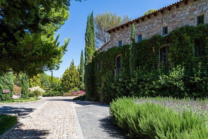 Vineyards, Wine Tasting and Pairing in San Miguel - Key highlights to know before you go