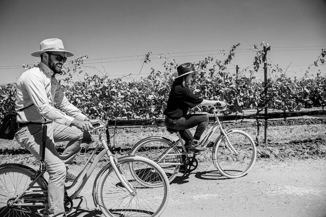 Vineyards, Wine Tasting and Pairing in San Miguel - How the tastings work: 3 wines each stop, paced for real learning