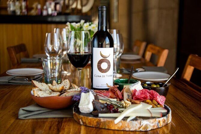 Vineyards, Wine Tasting and Pairing in San Miguel - Stop 2 at the organic family vineyard: from sprouts to bottling