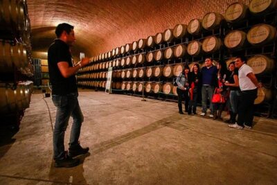 Visit to 3 Vineyards in the Region, departing from Querétaro - Vina Tx: guided cheese explanations plus a real pairing moment